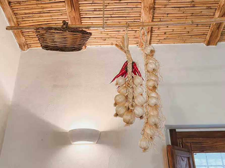 Immagine 27 di Casa colonica in vendita  a Luogosanto