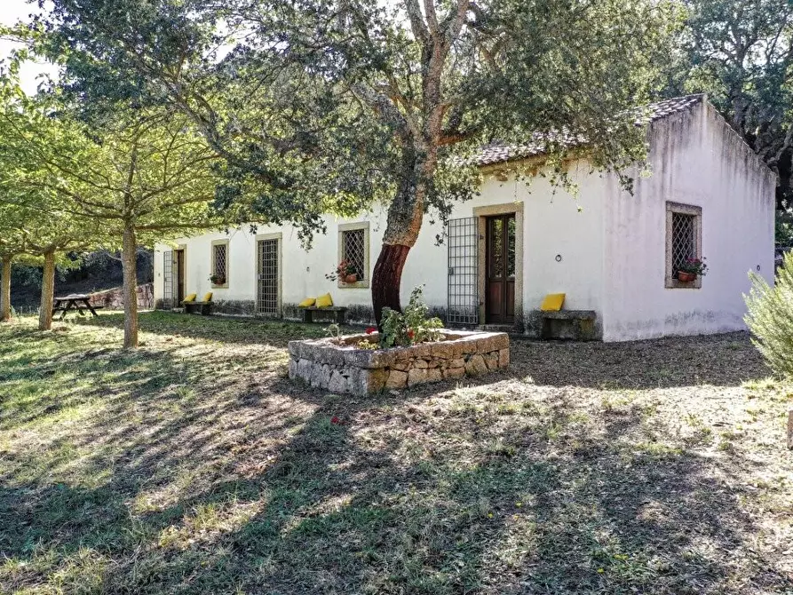 Immagine 19 di Casa colonica in vendita  a Luogosanto