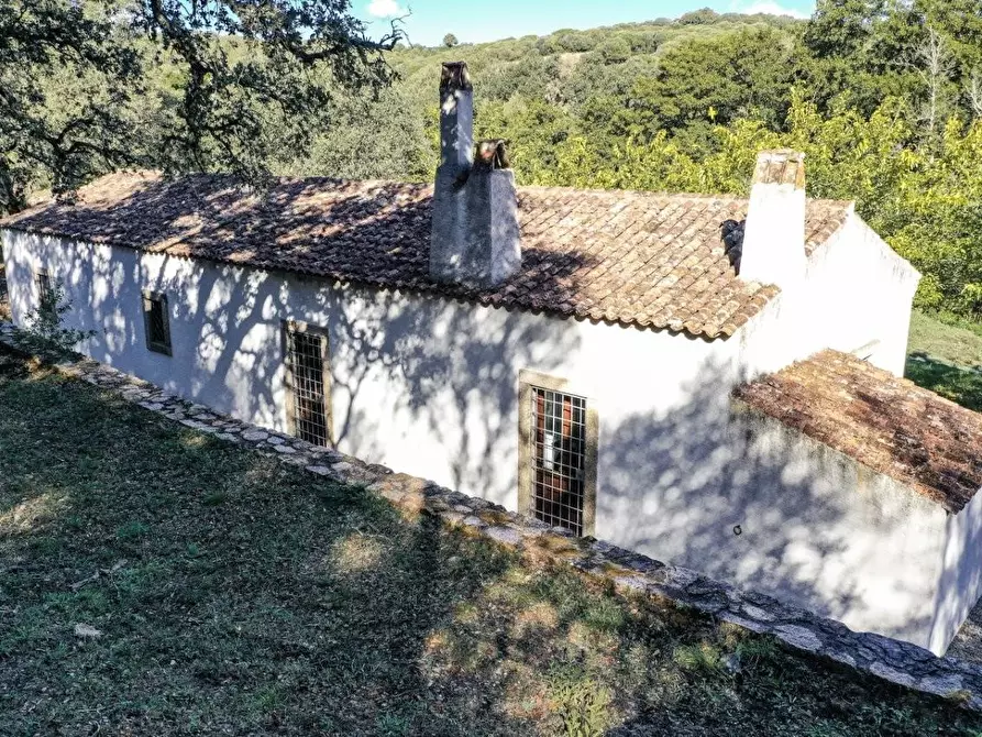 Immagine 7 di Casa colonica in vendita  a Luogosanto