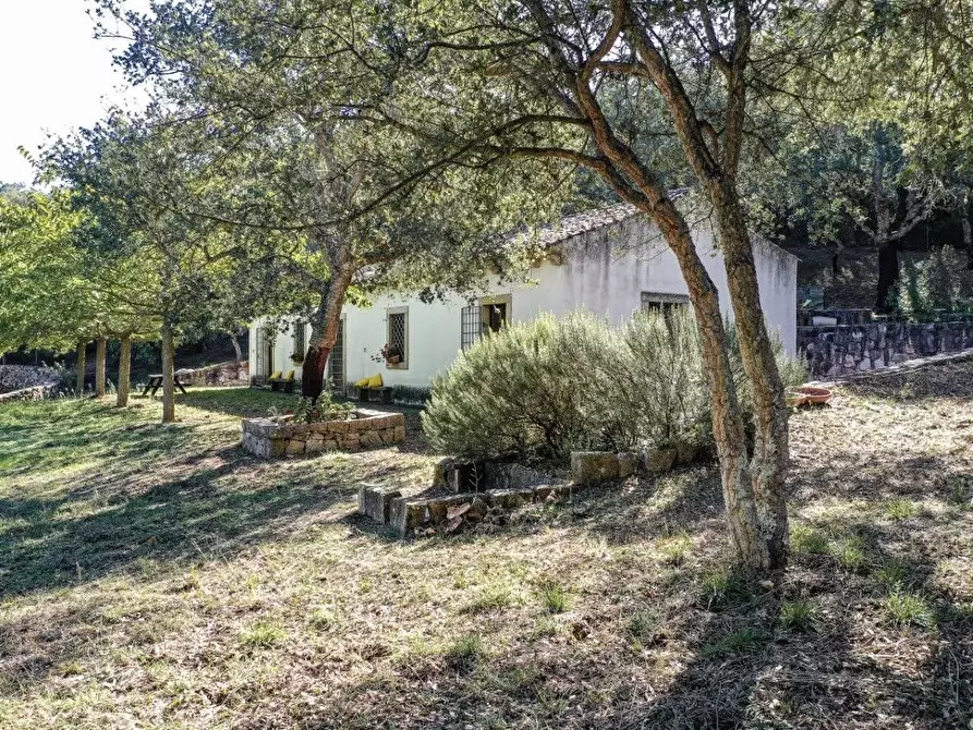 Immagine 18 di Casa colonica in vendita  a Luogosanto