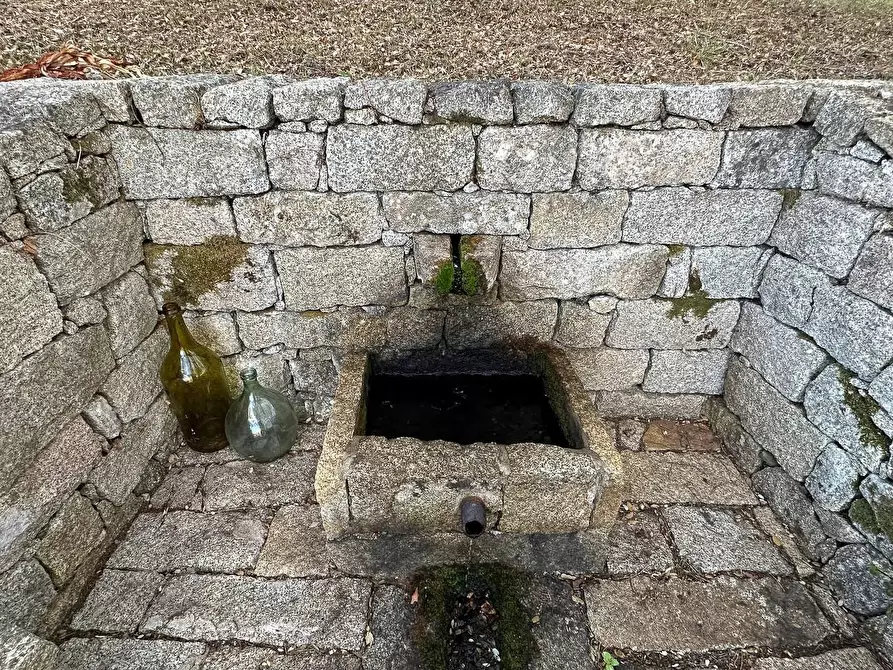 Immagine 20 di Casa colonica in vendita  a Luogosanto