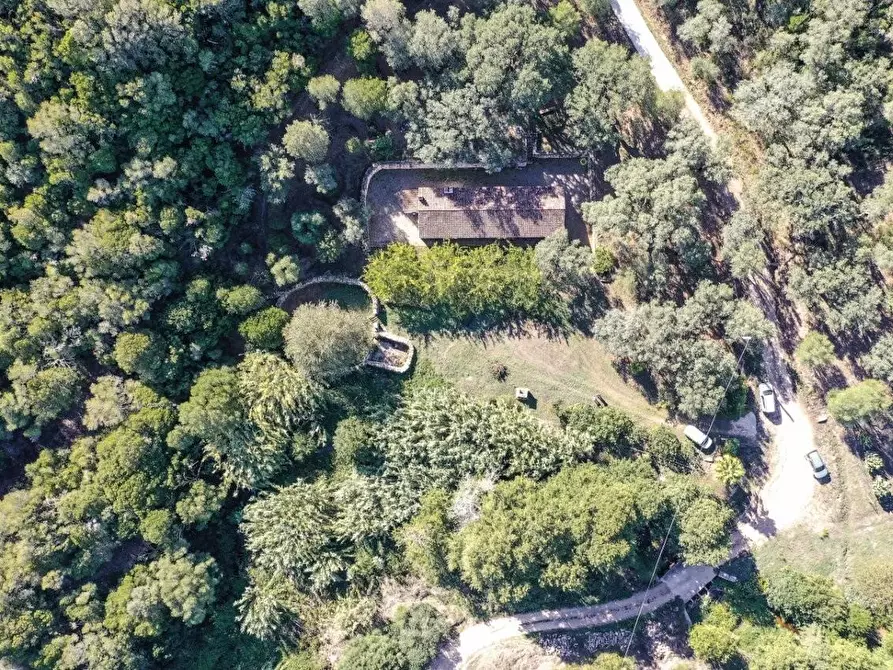 Immagine 15 di Casa colonica in vendita  a Luogosanto