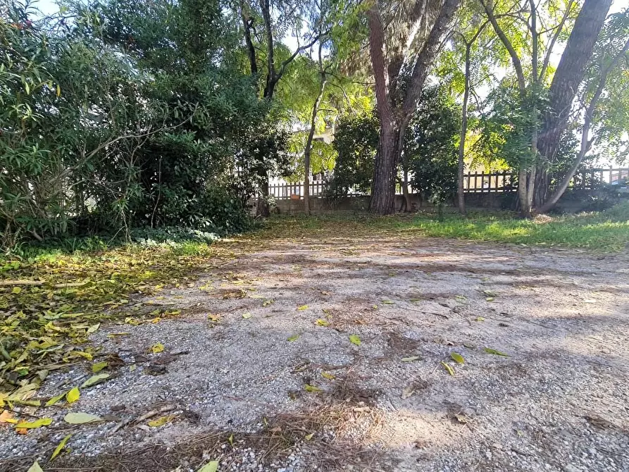 Immagine 6 di Appartamento in vendita  a San Miniato