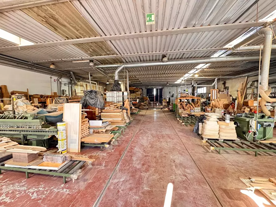 Immagine 3 di Attività artigianale in affitto  a Casciana Terme Lari