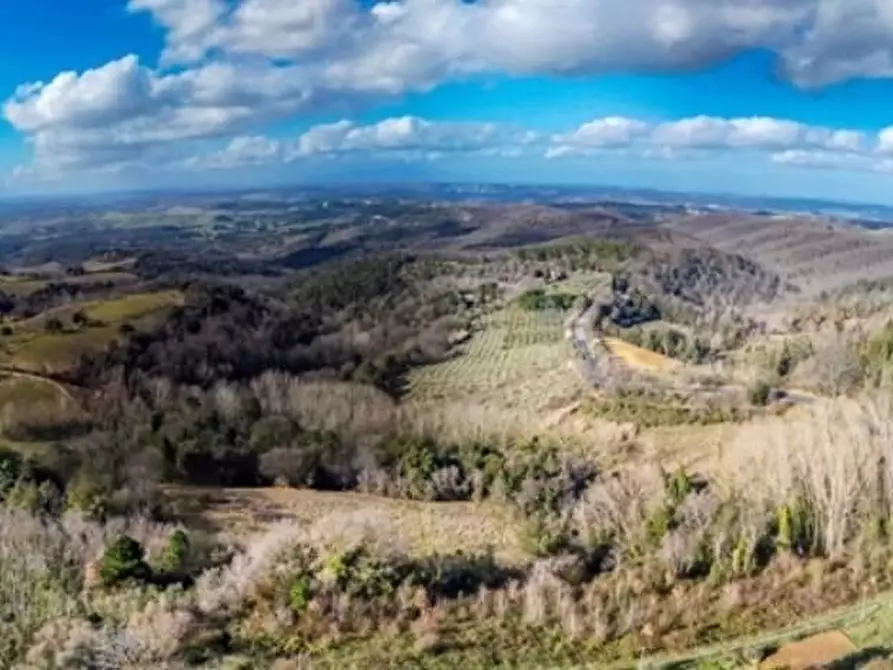 Immagine 6 di Villa in vendita  a Montaione