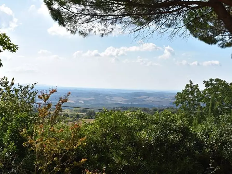 Immagine 3 di Villa in vendita  a Montaione