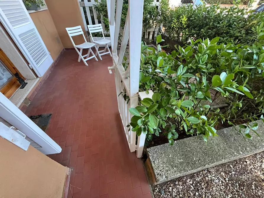 Immagine 4 di Appartamento in vendita  a Cecina