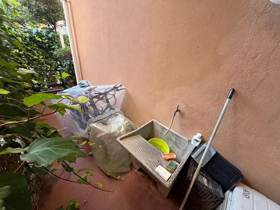 Immagine 2 di Appartamento in vendita  a Cecina