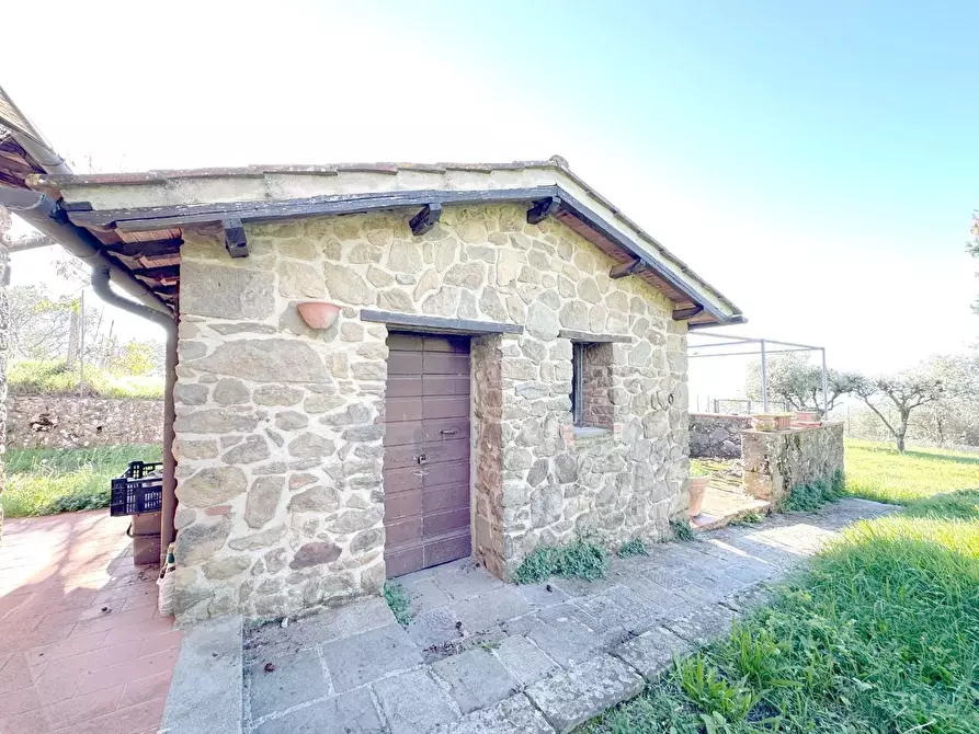 Immagine 5 di Rustico / casale in vendita  a Uzzano