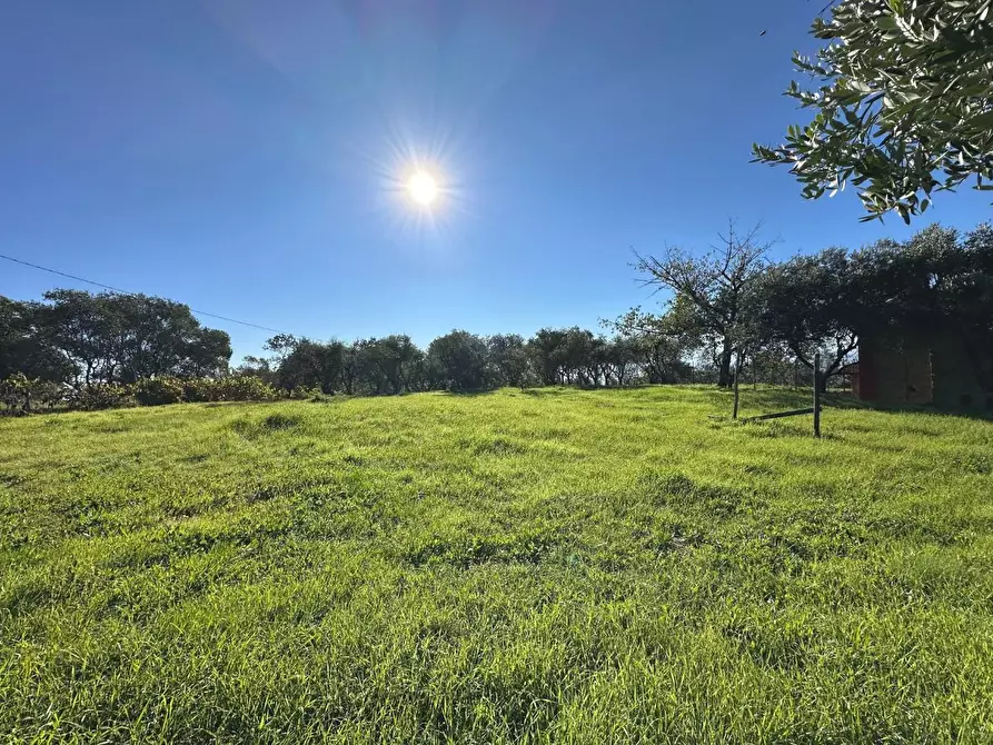 Immagine 26 di Rustico / casale in vendita  a Uzzano