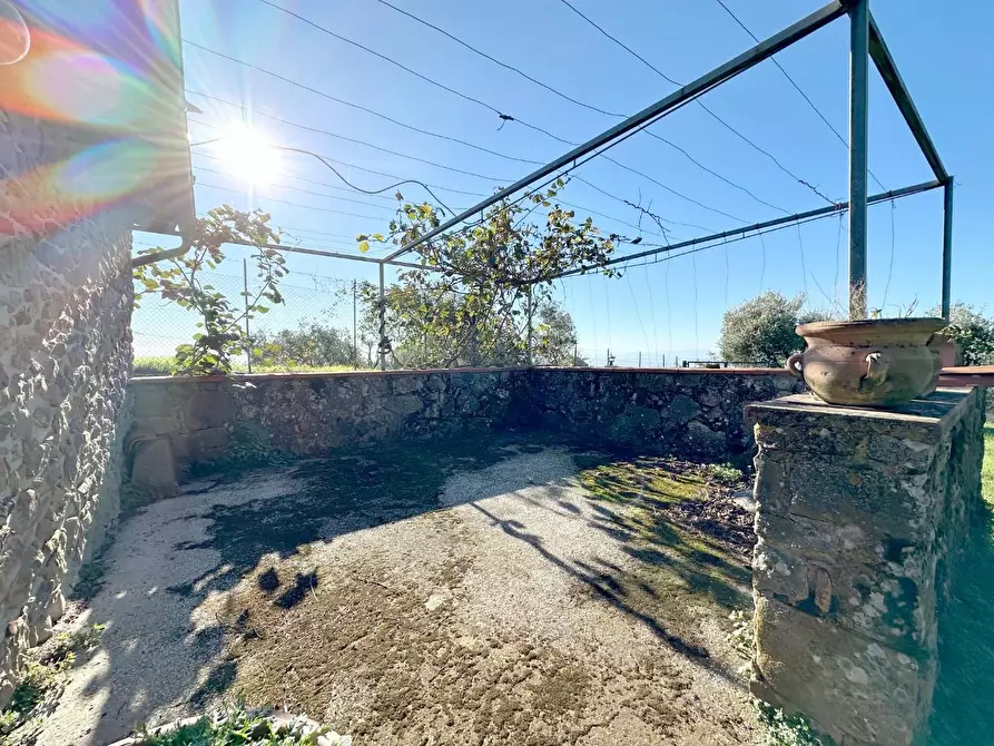 Immagine 4 di Rustico / casale in vendita  a Uzzano