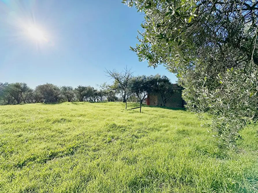 Immagine 27 di Rustico / casale in vendita  a Uzzano