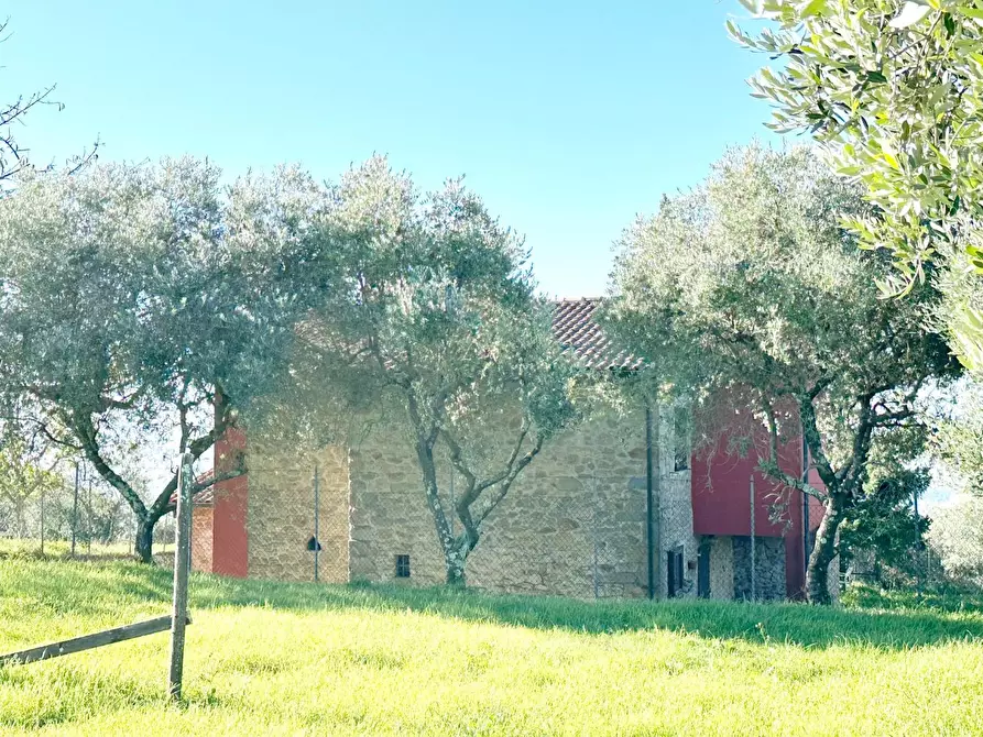 Immagine 28 di Rustico / casale in vendita  a Uzzano