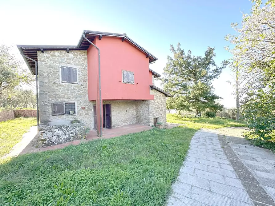 Immagine 6 di Rustico / casale in vendita  a Uzzano