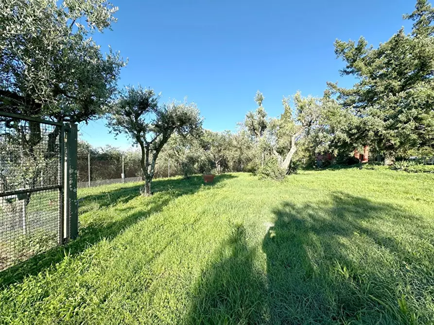 Immagine 23 di Rustico / casale in vendita  a Uzzano