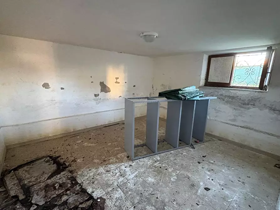 Immagine 16 di Villa in vendita  a Massa