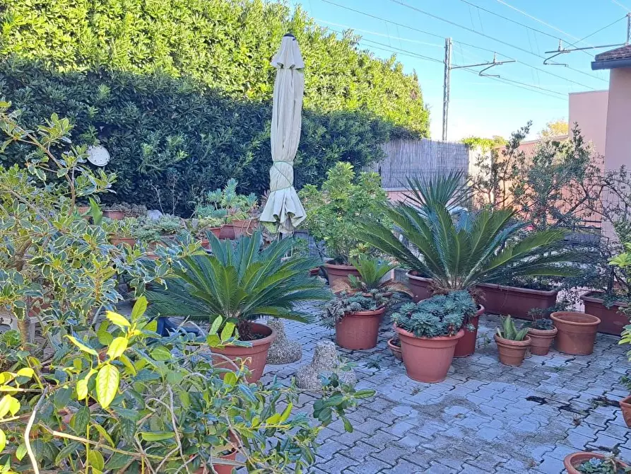 Immagine 2 di Casa trifamiliare in vendita  a Rosignano Marittimo