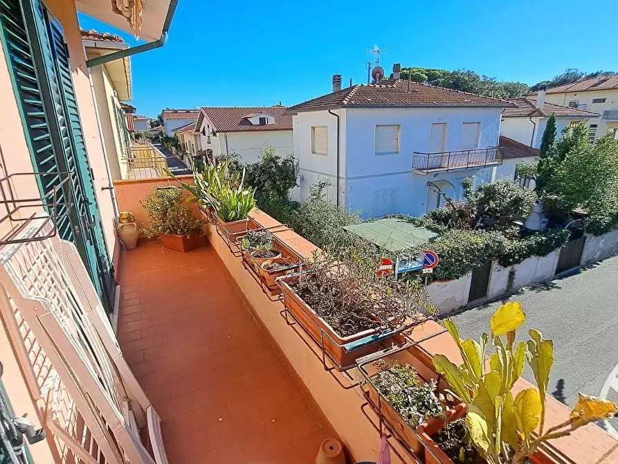 Immagine 15 di Casa trifamiliare in vendita  a Rosignano Marittimo