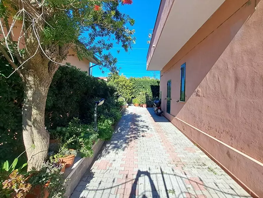 Immagine 6 di Casa trifamiliare in vendita  a Rosignano Marittimo