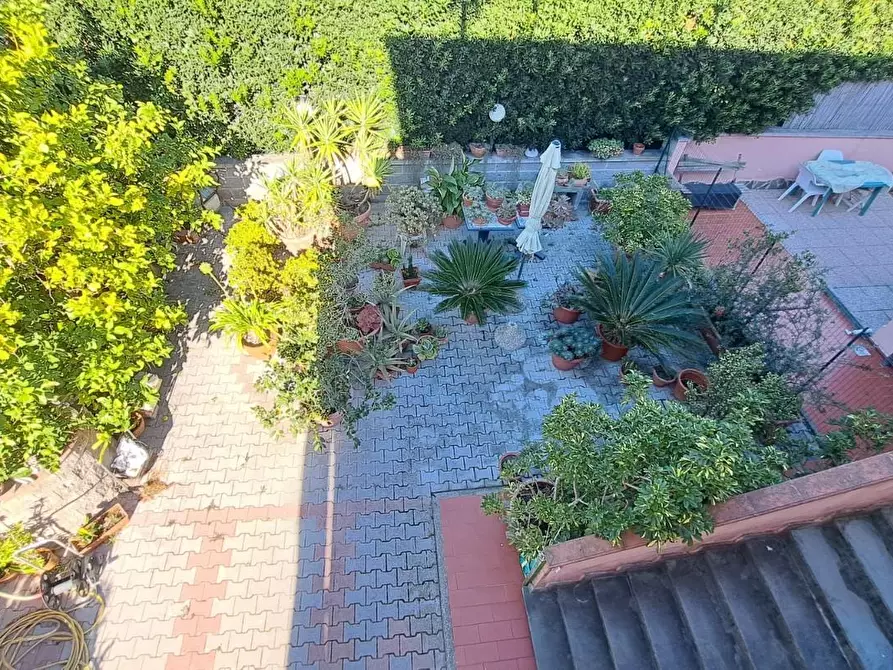 Immagine 3 di Casa trifamiliare in vendita  a Rosignano Marittimo