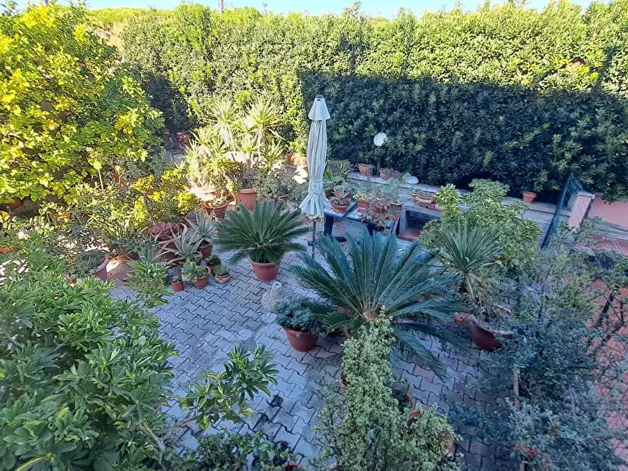 Immagine 4 di Casa trifamiliare in vendita  a Rosignano Marittimo