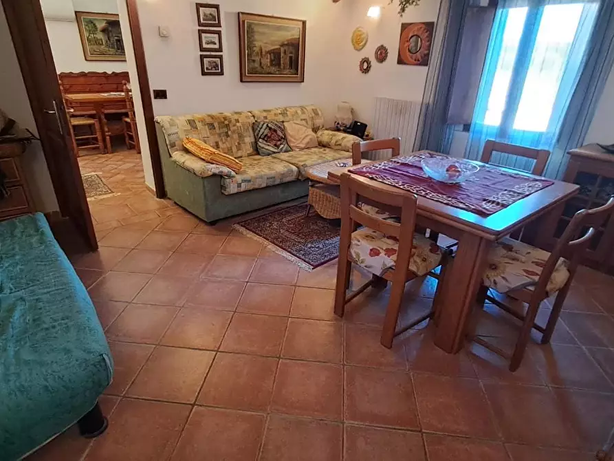 Immagine 8 di Appartamento in vendita  a Cecina