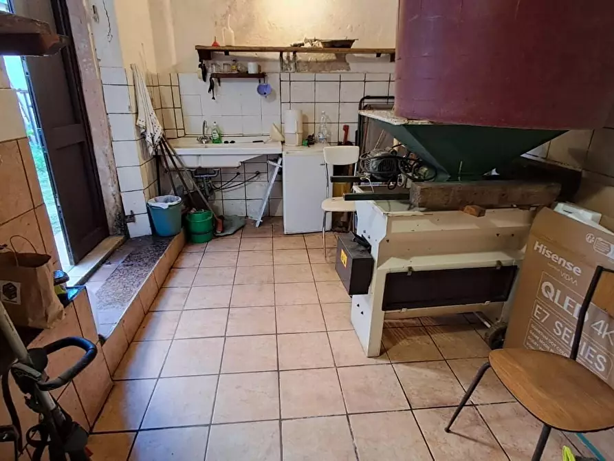 Immagine 18 di Appartamento in vendita  a Cecina