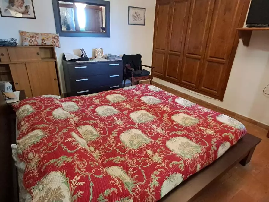 Immagine 13 di Appartamento in vendita  a Cecina