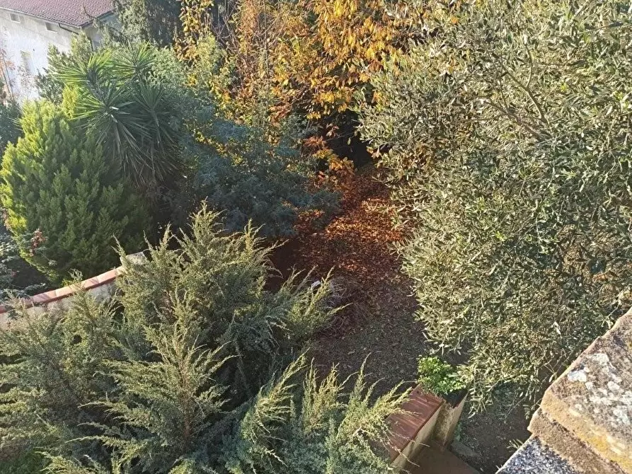 Immagine 5 di Casa bifamiliare in vendita  a Massa