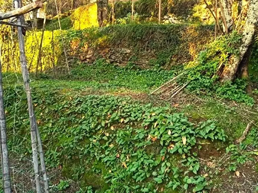 Immagine 7 di Casa bifamiliare in vendita  a Massa