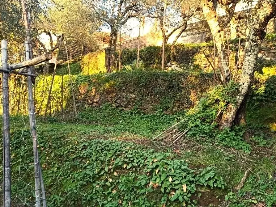 Immagine 6 di Casa bifamiliare in vendita  a Massa