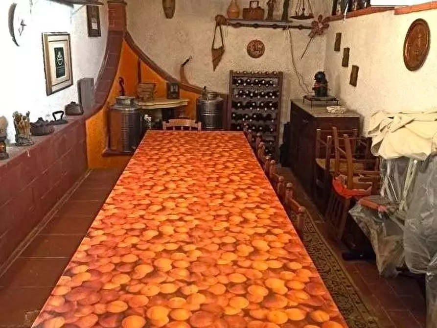 Immagine 18 di Casa bifamiliare in vendita  a Massa