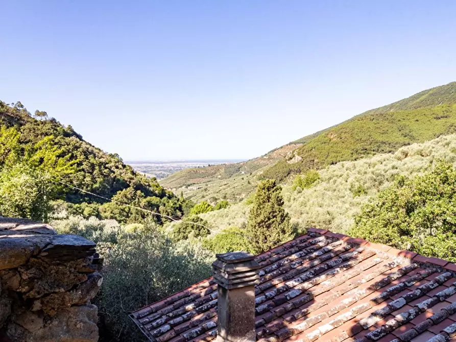 Immagine 28 di Appartamento in vendita  a Calci