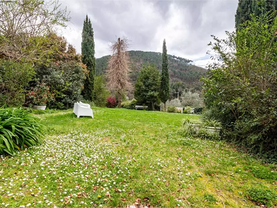 Immagine 17 di Appartamento in vendita  a Calci