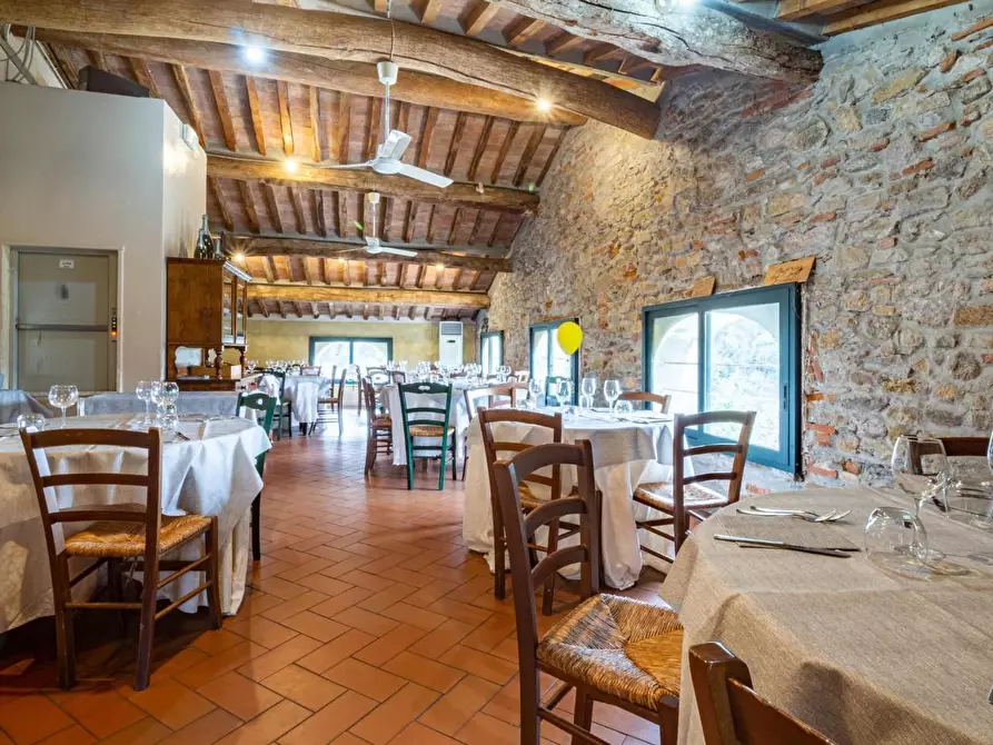 Immagine 8 di Appartamento in vendita  a Calci