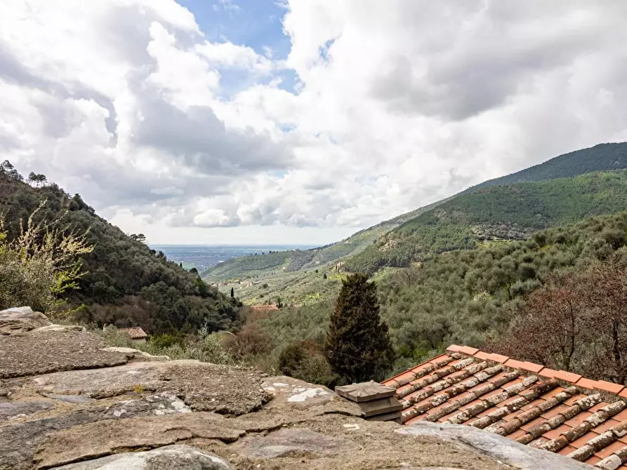 Immagine 21 di Appartamento in vendita  a Calci