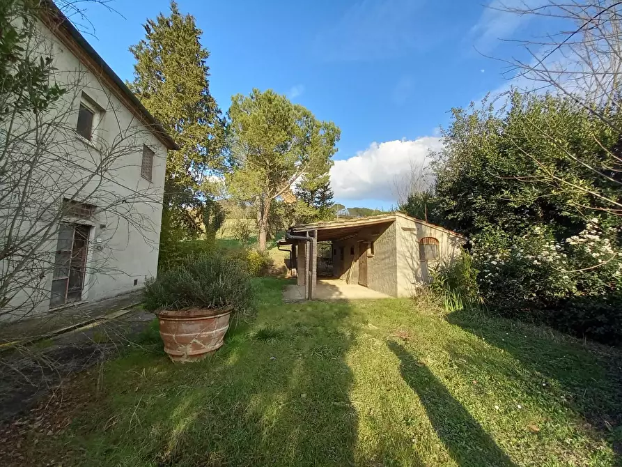 Immagine 4 di Rustico / casale in vendita  a Certaldo