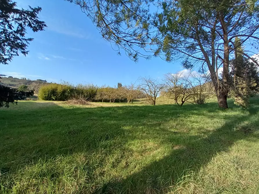 Immagine 6 di Rustico / casale in vendita  a Certaldo