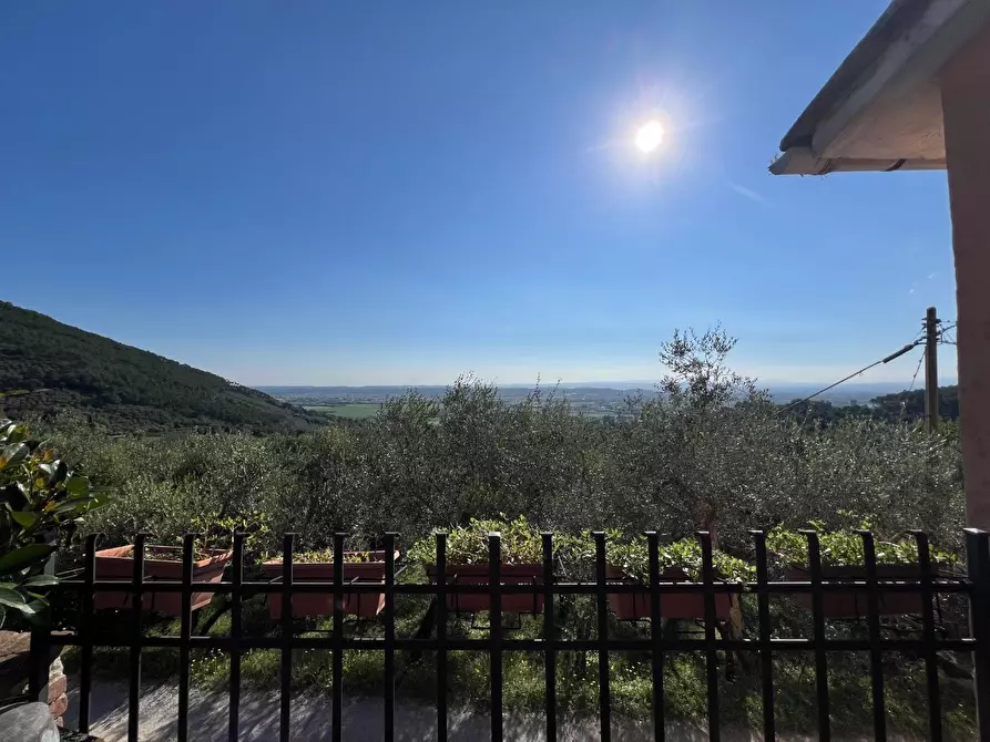 Immagine 46 di Terratetto in vendita  a Vicopisano