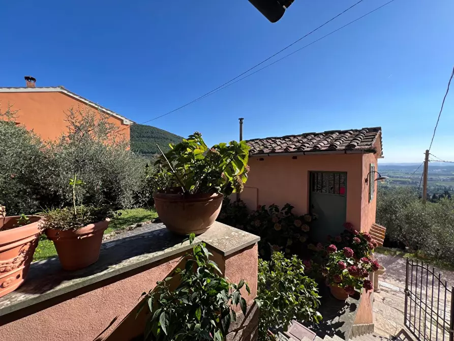 Immagine 43 di Terratetto in vendita  a Vicopisano