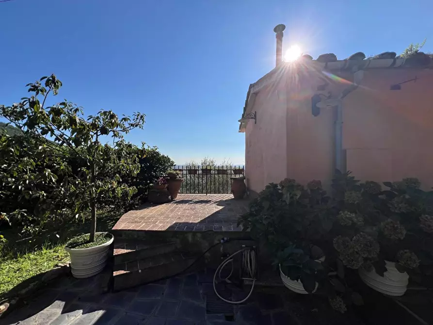 Immagine 45 di Terratetto in vendita  a Vicopisano