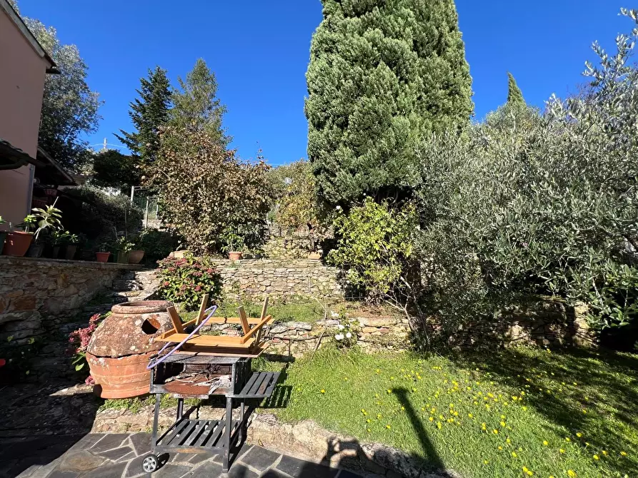 Immagine 50 di Terratetto in vendita  a Vicopisano