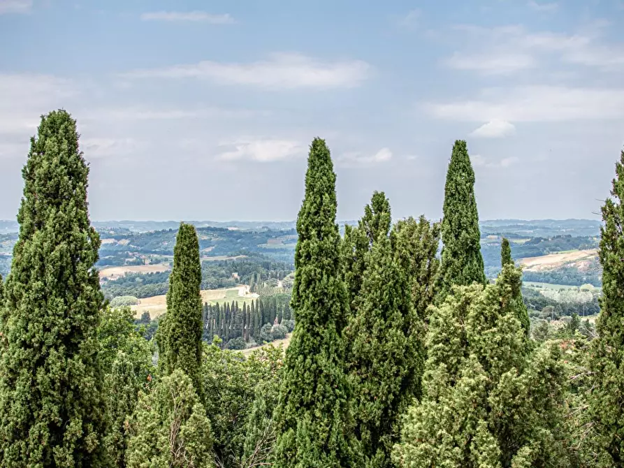 Immagine 46 di Appartamento in vendita  a Lajatico