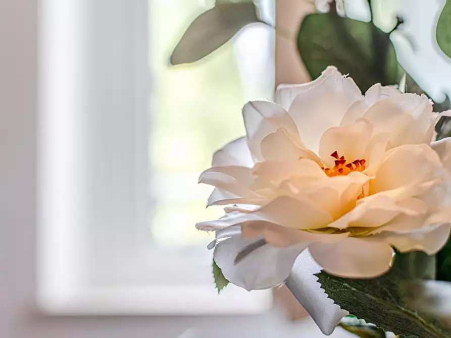 Immagine 50 di Appartamento in vendita  a Lajatico