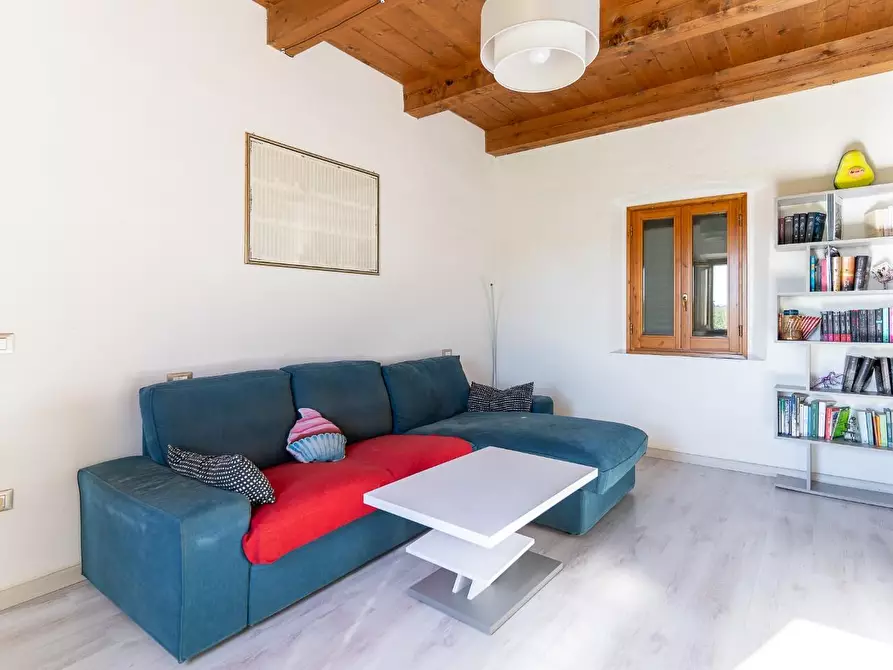 Immagine 18 di Terratetto in vendita  a Lamporecchio