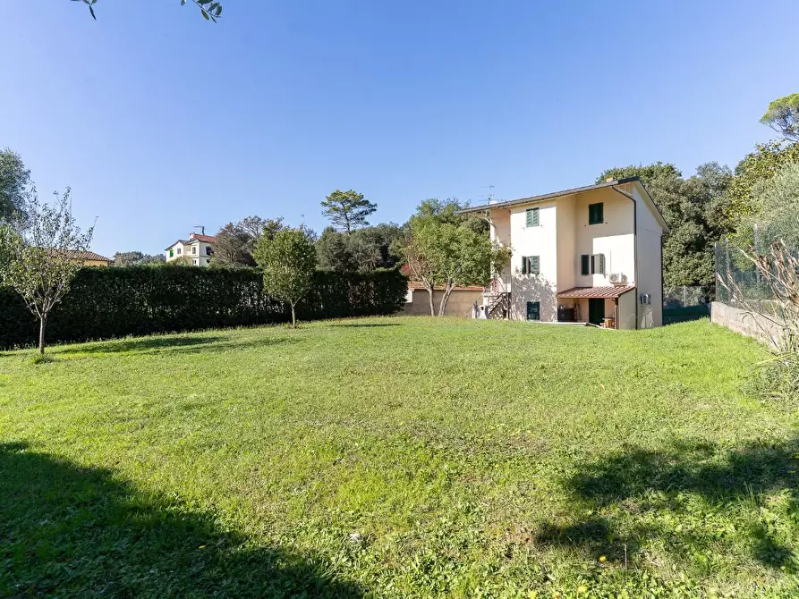 Immagine 6 di Terratetto in vendita  a Lamporecchio