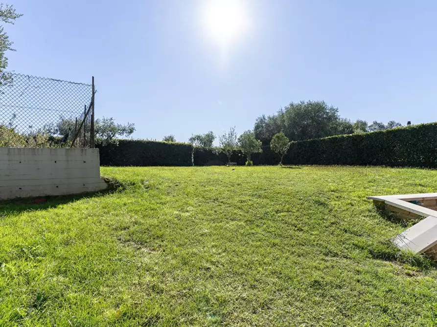 Immagine 60 di Terratetto in vendita  a Lamporecchio