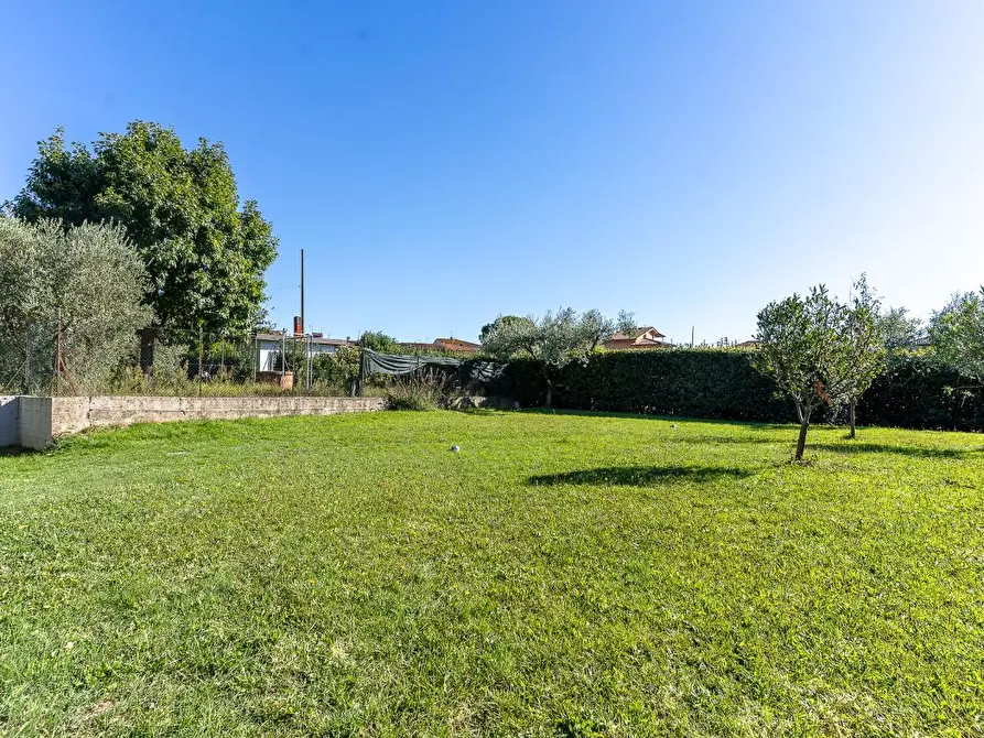 Immagine 59 di Terratetto in vendita  a Lamporecchio