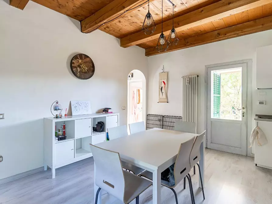 Immagine 29 di Terratetto in vendita  a Lamporecchio