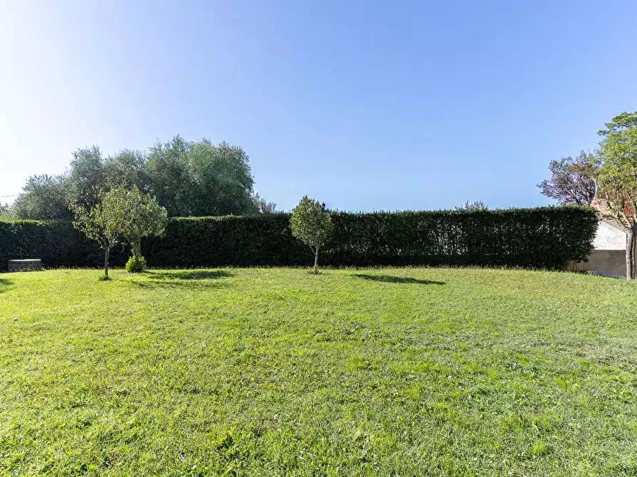 Immagine 58 di Terratetto in vendita  a Lamporecchio